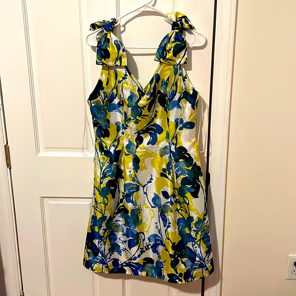 Tyler Böe Woman’s dress